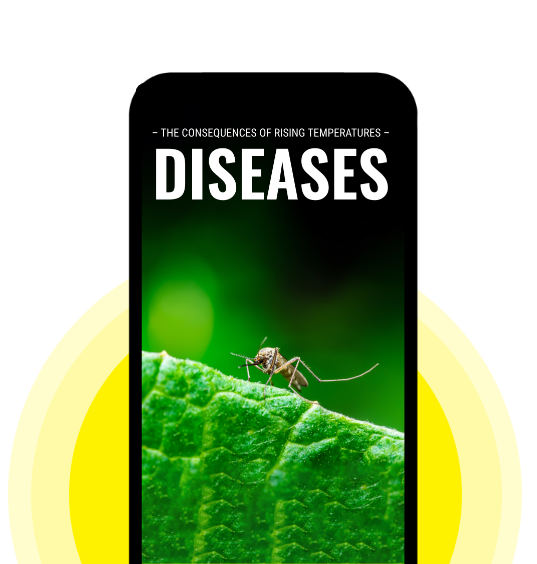 How to protect your pet from parasite-borne diseases