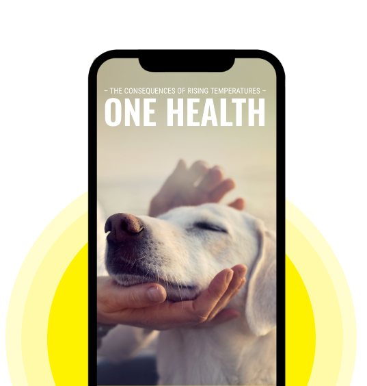 one health