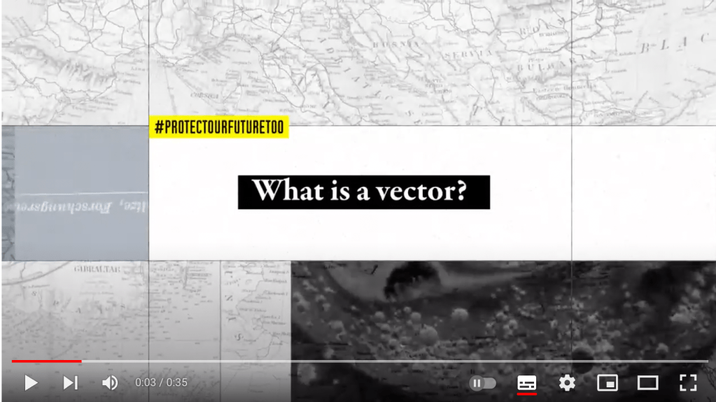 RICHARD WALL - What is a vector?